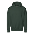 Load image into Gallery viewer, Hanes F170 Hoodie