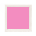 Load image into Gallery viewer, Framed Decor 1:1